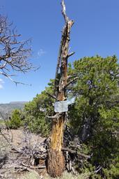 A memorial on the summit [sun aug 31 12:27:53 mdt 2025]